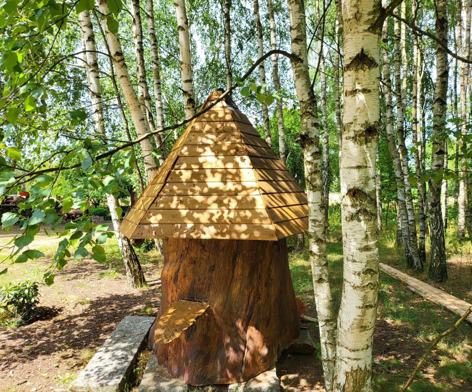 Borowe Chatki Nad Lubiszewem Lipusz 外观 照片